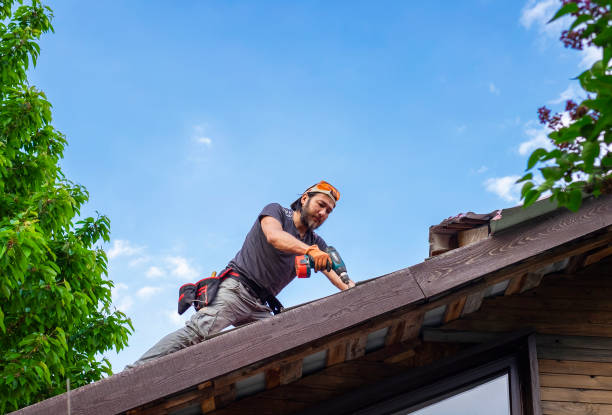 Best Metal Roofing Installation  in Grenelefe, FL
