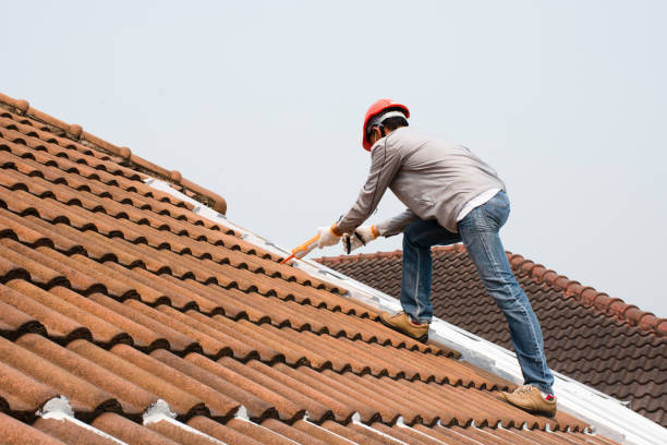 Best Roof Moss and Algae Removal  in Grenelefe, FL
